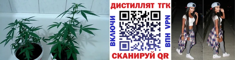 ТГК вейп  MEGA ССЫЛКА  Ветлуга 