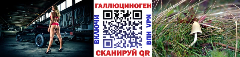 Галлюциногенные грибы мицелий  гидра tor  Ветлуга 